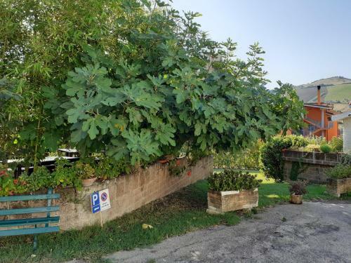 Agroturismo Pier Delle Vigne B&B