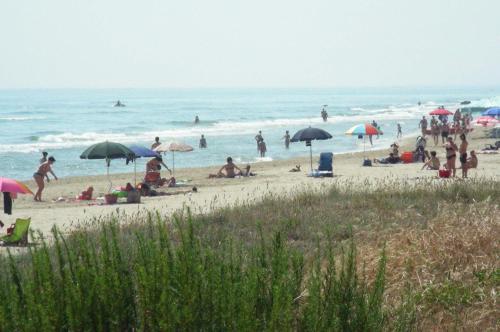 Agroturismo Pier Delle Vigne B&B