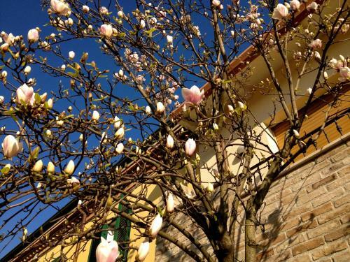 Apartamento Casetta Randi 26