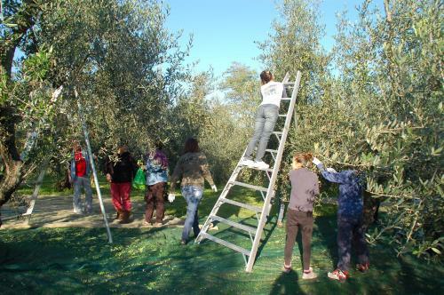 Bed & Breakfast Il Podere Di Giustina