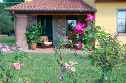 Bed & Breakfast Il Podere Di Giustina