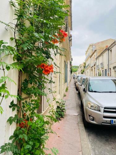 Apartamento Peyrou Centre Yourhosthelper