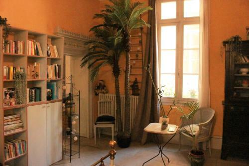Apartamento Superbe Appartement Spacieux - Centre Historique
