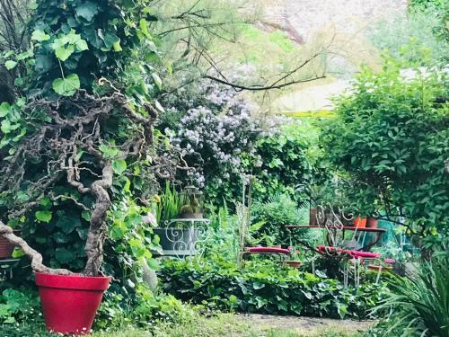 Bed & Breakfast La Maison Des Roses