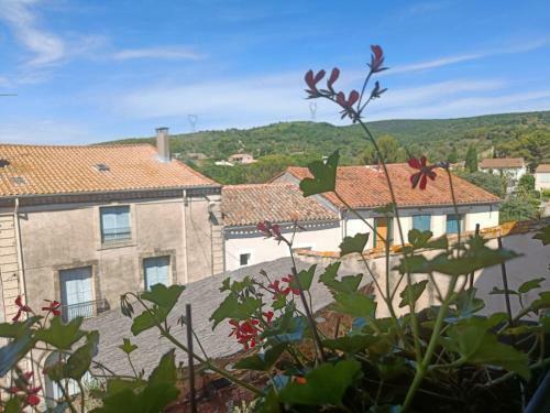 Bed & Breakfast Maison Tinguett