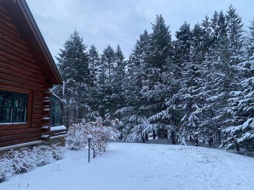 Chippewa View Lodge