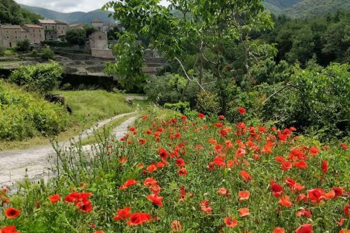 Vacances En C�vennes ! Maisonnette En Pierres