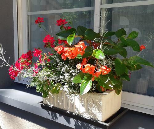 Bed & Breakfast Maison Du Val Du Loup