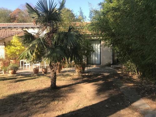 Apartamento Casa Les Bambous