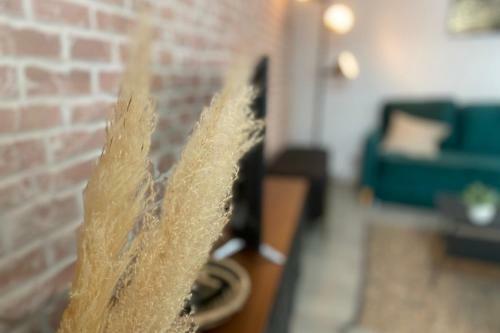 Apartamento L'epicurien - Charming P2 Downtown
