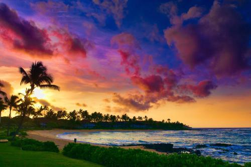 Hale Kamaole 230