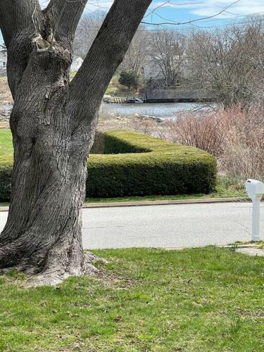 Shore Drive - 2 Bedroom/2 Bath/bunk/queen Oasis
