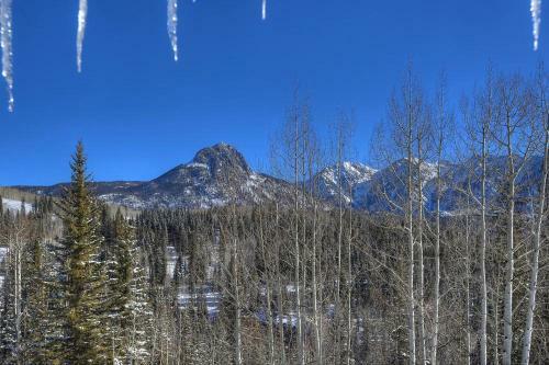 Cascade Village 329