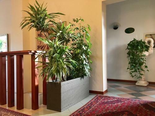 Hotel Rombino