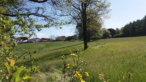Les Hirondelles De Montsec