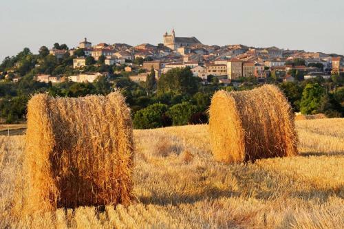 G�te L'hirondelle