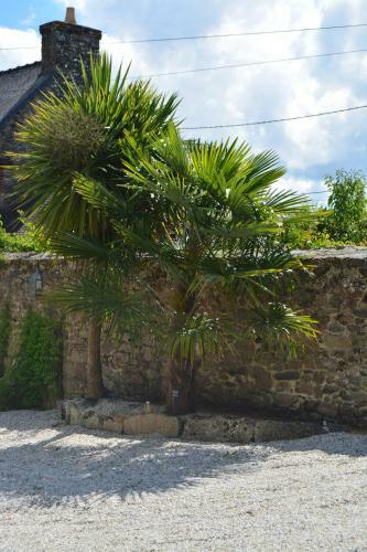 Bed & Breakfast Lebeau Repos
