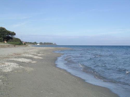 Corse Pied Dans L Eau Alba Serena