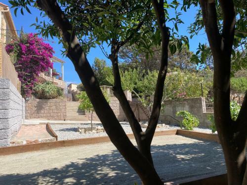 Hostal Casa Santa Giulia Propriano