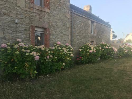 Bed & Breakfast Villa Bailey