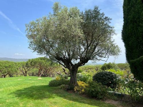 7 Bedroom Luxury Villa Near St. Tropez & Beach