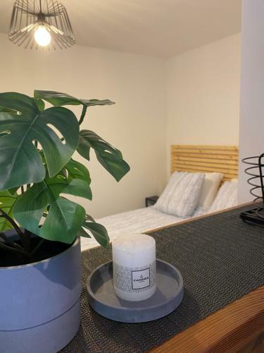 Apartamento Superbe Studio Avec Terrasse Et Parking Gratuit