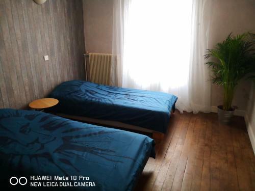 Apartamento Charmant Appartement Ancien