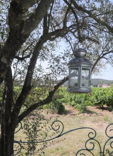 Hostal Maison D�h�tes Le Mas Des Vignes