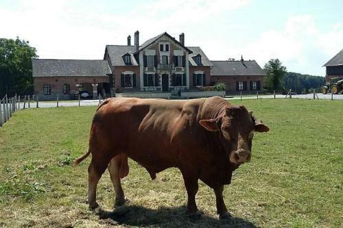 La Ferme Du Rit Des Leups