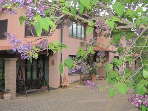 Agroturismo Agriturismo Podere Borgognano