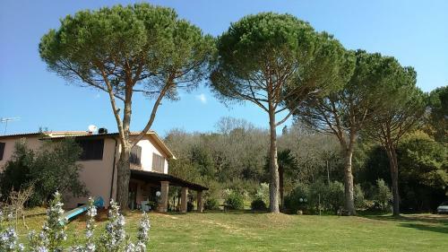 Agroturismo Agriturismo Podere Borgognano