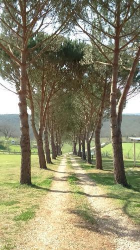 Agroturismo Agriturismo Podere Borgognano