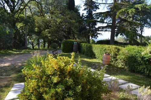 Bed & Breakfast Piccolo Ulivo Ranch