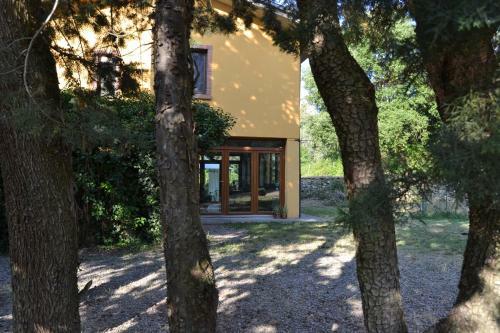 Bed & Breakfast Piccolo Ulivo Ranch