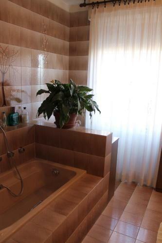 Bed & Breakfast Expo Fiera Milano San Siro