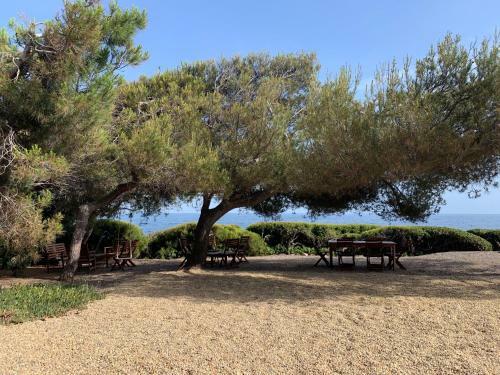 Villa Marycel Pied Dans L Eau 12p