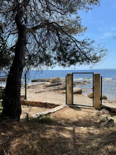 Villa Marycel Pied Dans L Eau 12p
