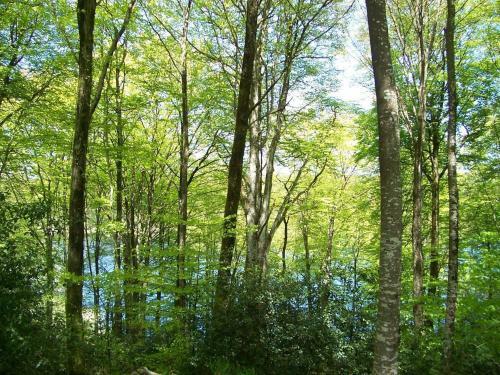 Village De G�tes La Planette - G�te 1