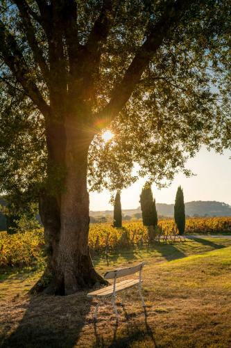 Bed & Breakfast Ch�teau Malrom�
