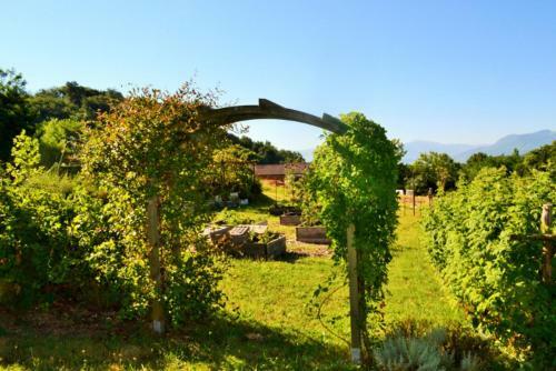 Bed & Breakfast La Voureyline