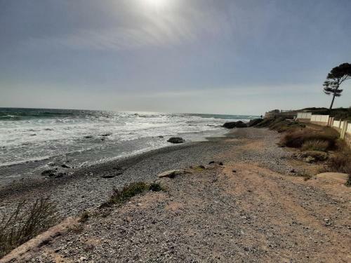 Apartamento Le M�diterran�o