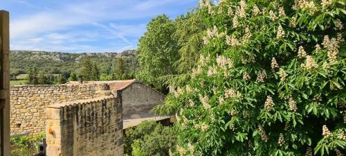 Maison De Village De Charme Xviie Avec Piscine
