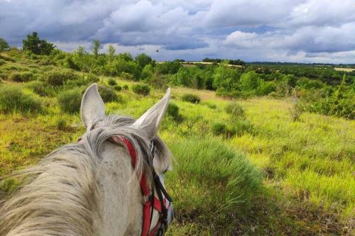 Apartamento G�te Quercy Blanc Jolie Vue - Balades � Cheval