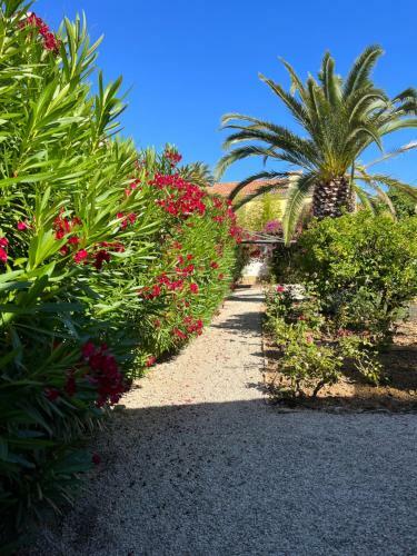 Villa R�nov�e Saint Cyr Sur Mer � 200m De La Plage