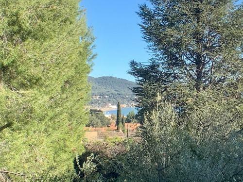 Villa Provence 800 M Plage Des Lecques