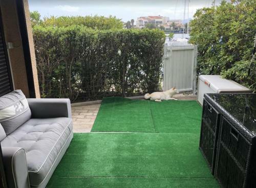 Apartamento Marina Bord De Lagune T2