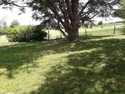 G�te De Magui