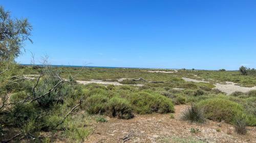Apartamento R�sidence L?oiseau Des Sables