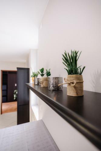 Apartamento Le Zenith - Calme Et Spacieux