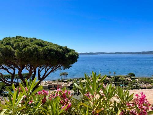 Apartamento La Madrague